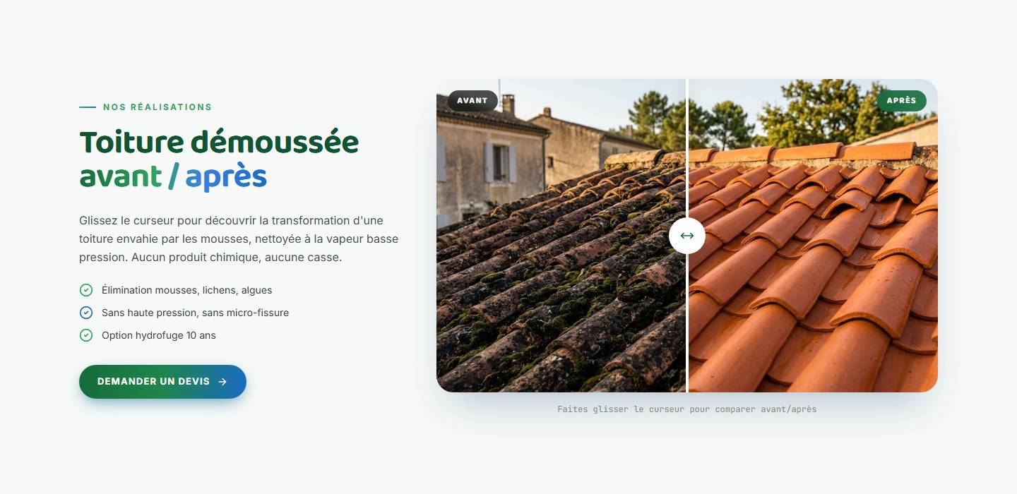 section — Toiture démoussée avant / après